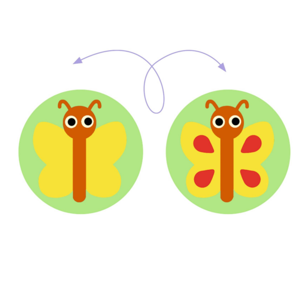 Djeco - Felfedező játék - Képsorrend - Gardimix - Image 2