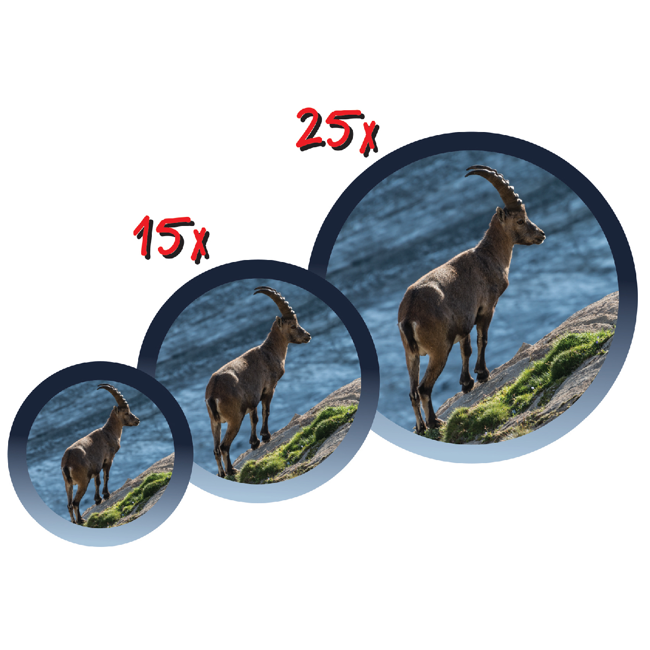 Csillagász gyerektávcső - Explorer Telescope 15-25x35 with Tripod - Image 4