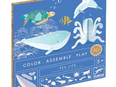 Készítsd magad! - Élet a tengerben 3D-ben - Sea life